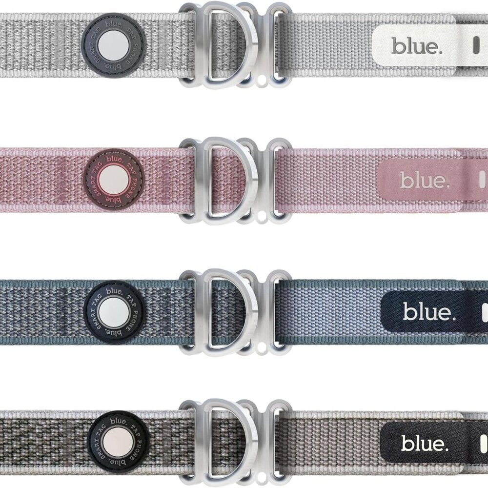Luxury Smart Collar for Dogs Featuring CloudTag by Blue. (Small Feathered Rose)